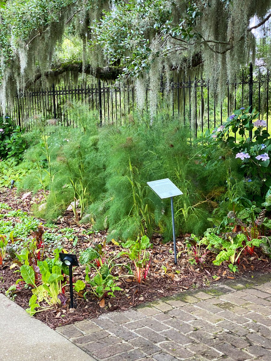 TealSeptember's tweet photo. #BrookgreenGardens #Botanicalgarden in #GeorgetownCounty, #SouthCarolina Named one of the Top 10 Gardens in the US by Trip advisor. It has sculpture gardens and wildlife preserve,located just south of #MurrellsInlet. It has 9,100-acres.We had a wonderful time there.#garden #zoo https://t.co/vM6F4EYXgf