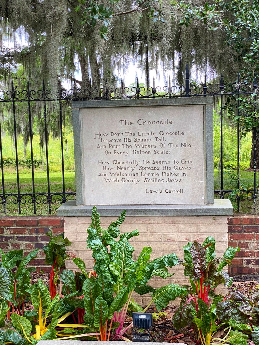 TealSeptember's tweet photo. #BrookgreenGardens #Botanicalgarden in #GeorgetownCounty, #SouthCarolina Named one of the Top 10 Gardens in the US by Trip advisor. It has sculpture gardens and wildlife preserve,located just south of #MurrellsInlet. It has 9,100-acres.We had a wonderful time there.#garden #zoo https://t.co/vM6F4EYXgf