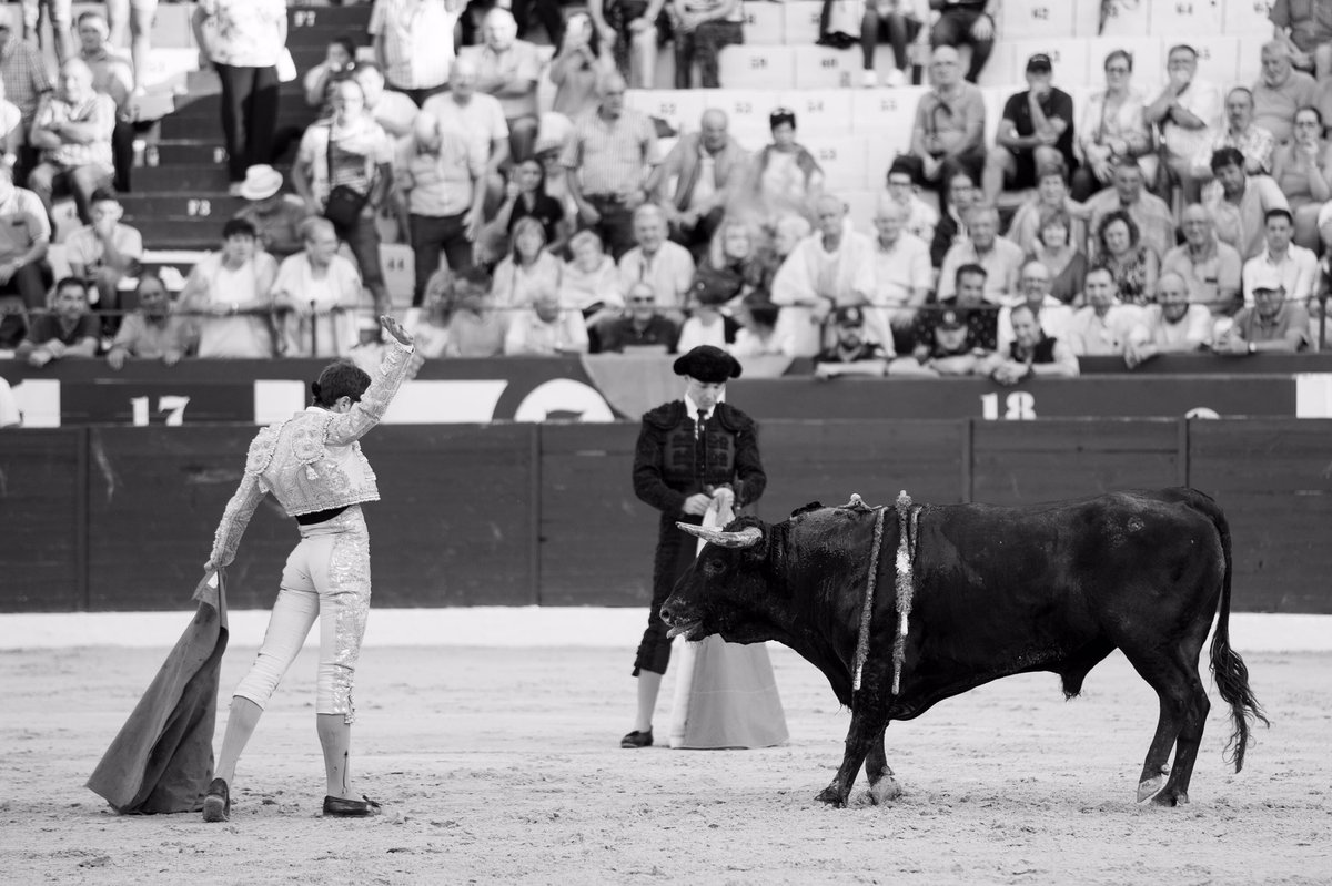 Debut con caballos, Tarazona.
26 de Agosto de 2023.