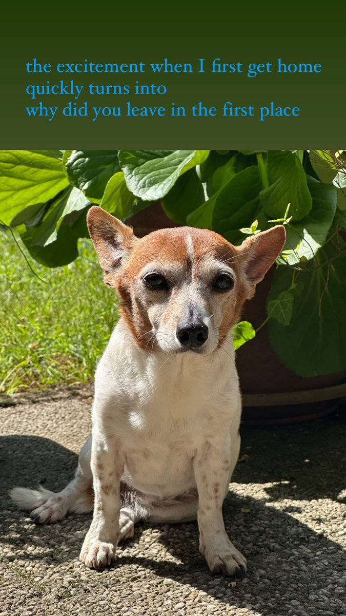 nHumidity's tweet image. 