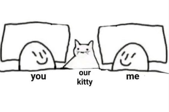 iluvcats2002's tweet photo. you and who https://t.co/aB4rBbMJMr
