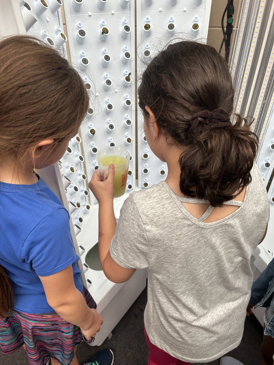 Aldrich Library (@sasvacina) on Twitter photo The <a href="/ForkFarms/">Fork Farms</a> Hydroponics Tower is back and we are already looking forward to fresh produce in the cafeteria! These students helped feed the plants today. Any guesses what we are growing? #GrowingInquirers #Proud2bMPS The <a href="/ForkFarms/">Fork Farms</a> Hydroponics Tower is back and we are already looking forward to fresh produce in the cafeteria! These students helped feed the plants today. Any guesses what we are growing? #GrowingInquirers #Proud2bMPS