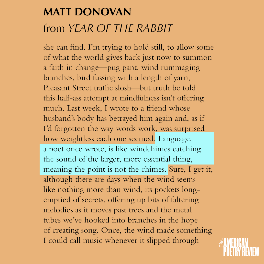 Matt Donovan's 'Year of the Rabbit' is just one of a whole stack of great poems in the APR Sept./Oct. issue. Read this one and others at aprweb.org right now.