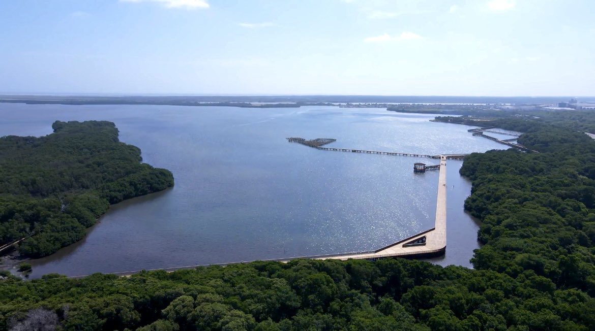 Katianavarrog's tweet photo. Hoy es un gran día para nuestra #Biodiverciudad 🌿 y es la apertura oficial del Ecoparque Ciénaga de Mallorquín. 

Qué alegria es vivir este momento único para Barranquilla, donde un sueño se hace realidad : #MallorquínVive https://t.co/1zkgqkbEQC