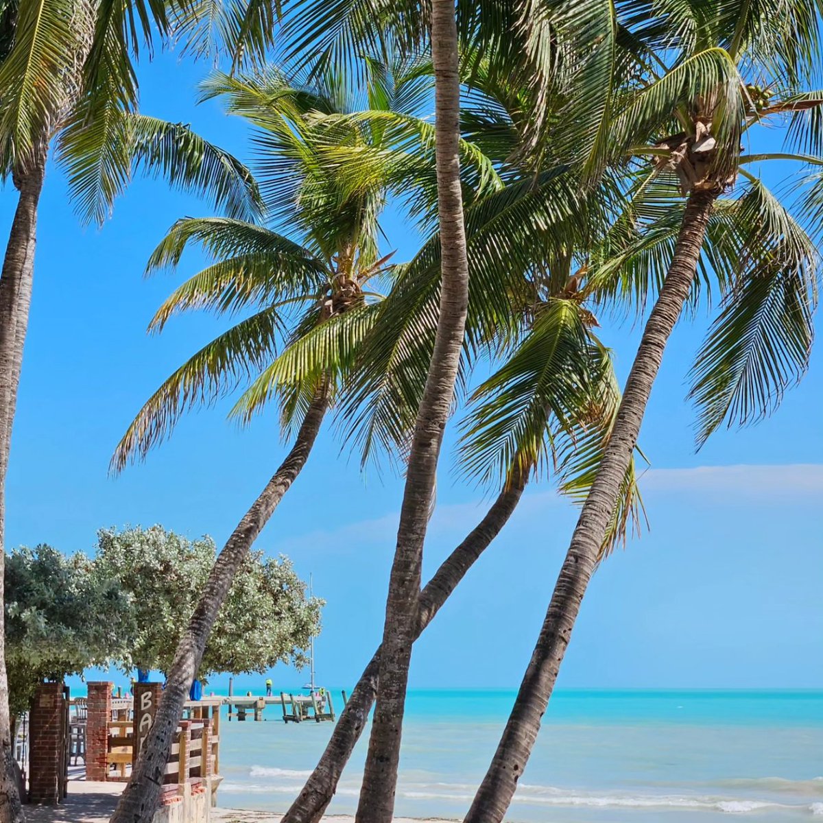 🌴 My paradise doesn't need filters...it's naturally perfect 🌴