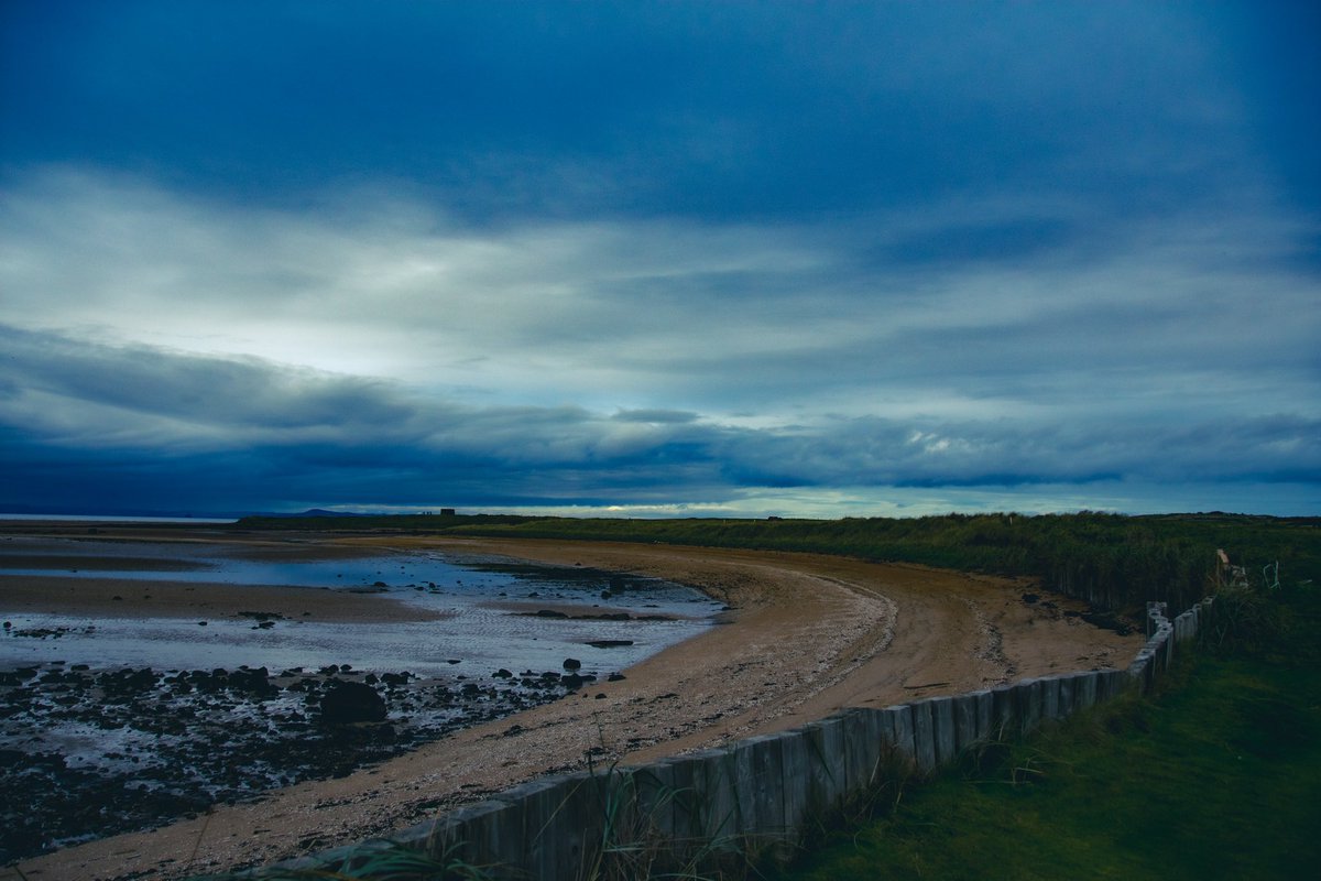 Alan Ferrol tweet media