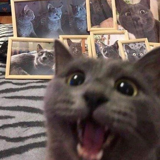 Moonsinrivers's tweet photo. Miku Cat face Theory pt. 4 https://t.co/4p8YAZ99e0
