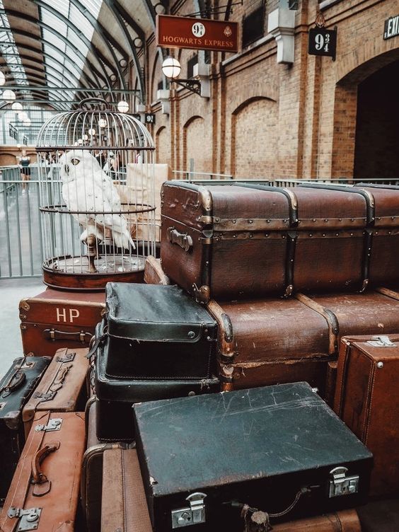 DailyHogxwarts's tweet photo. ✨ The perfect starter pack✨

#BackToHogwarts https://t.co/MJqm05l4Wp