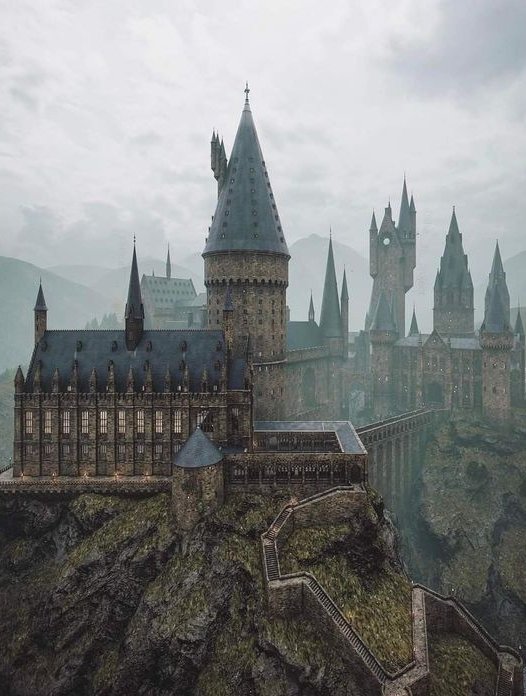 DailyHogxwarts's tweet photo. ✨ The perfect starter pack✨

#BackToHogwarts https://t.co/MJqm05l4Wp