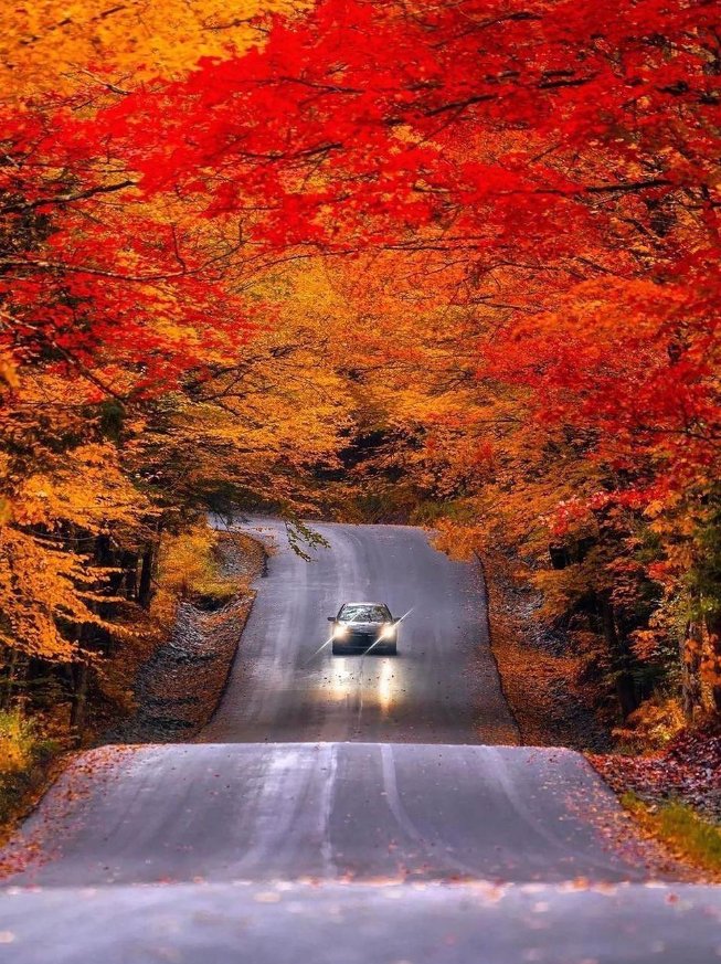 New England in the fall is a beautiful adventure 🍁🍂 Crisp air and warm golden colors, the best of times!
#usa #usatoday #usaprimeshot #divine_worldplaces #divine_villages #autumnvibes #autumncolors #autumn #fall #fallfoliage #villagelife explorer #earthfocus #nature locations…