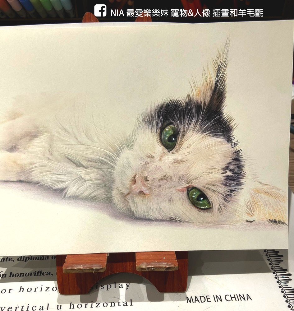 nia413413's tweet photo. 乳牛貓 小白
色鉛筆  未完成 Wip

#tuxedocat #cat #black #white  #colorpencil  #wip #Angel_😇
#賓士貓 #乳牛貓  #animal https://t.co/bvOpSKKW6X