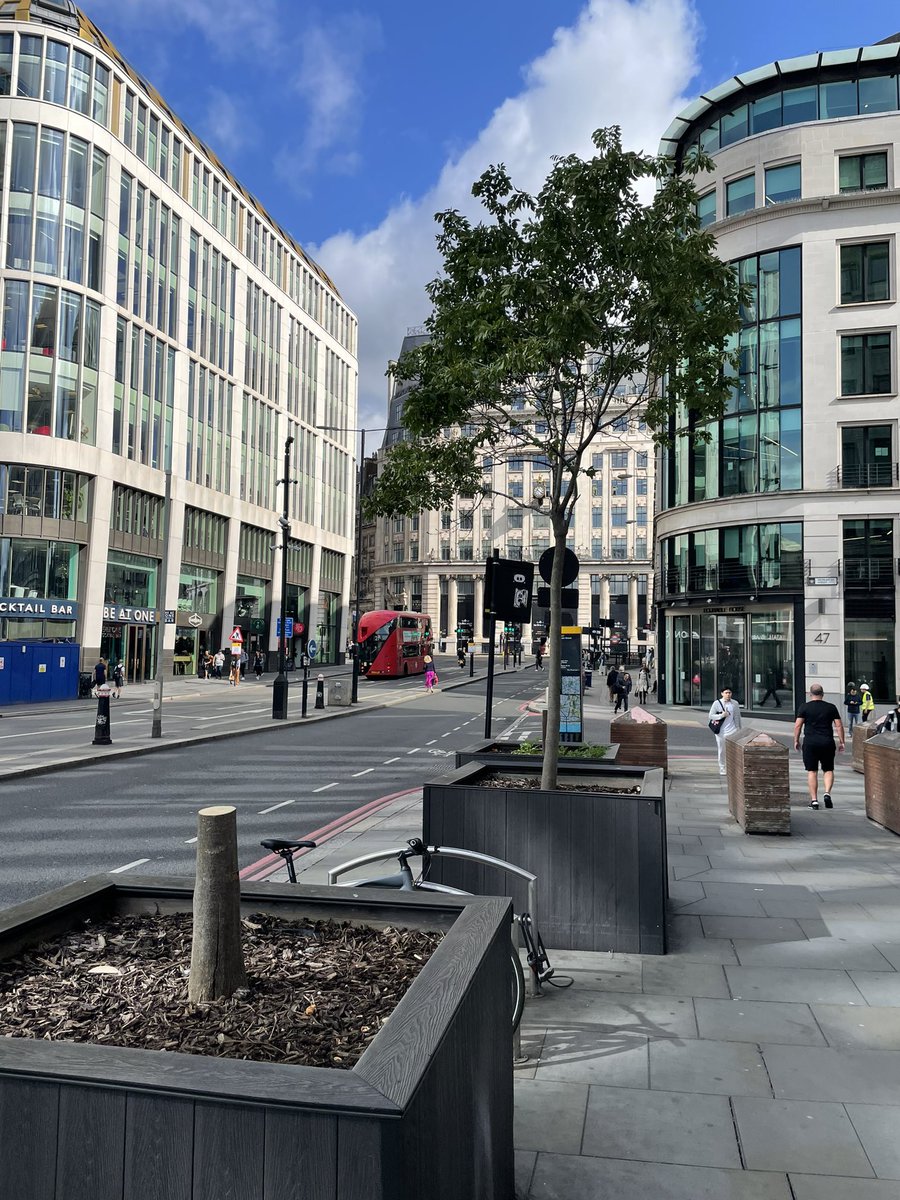 MarekRob1's tweet photo. @BBCBreakfast, @SadiqKhan,@savelondontrees, @LondonLive, @Londonist 
Why someone cut down those trees by London Bridge ( North side) https://t.co/b5PR3h72H6