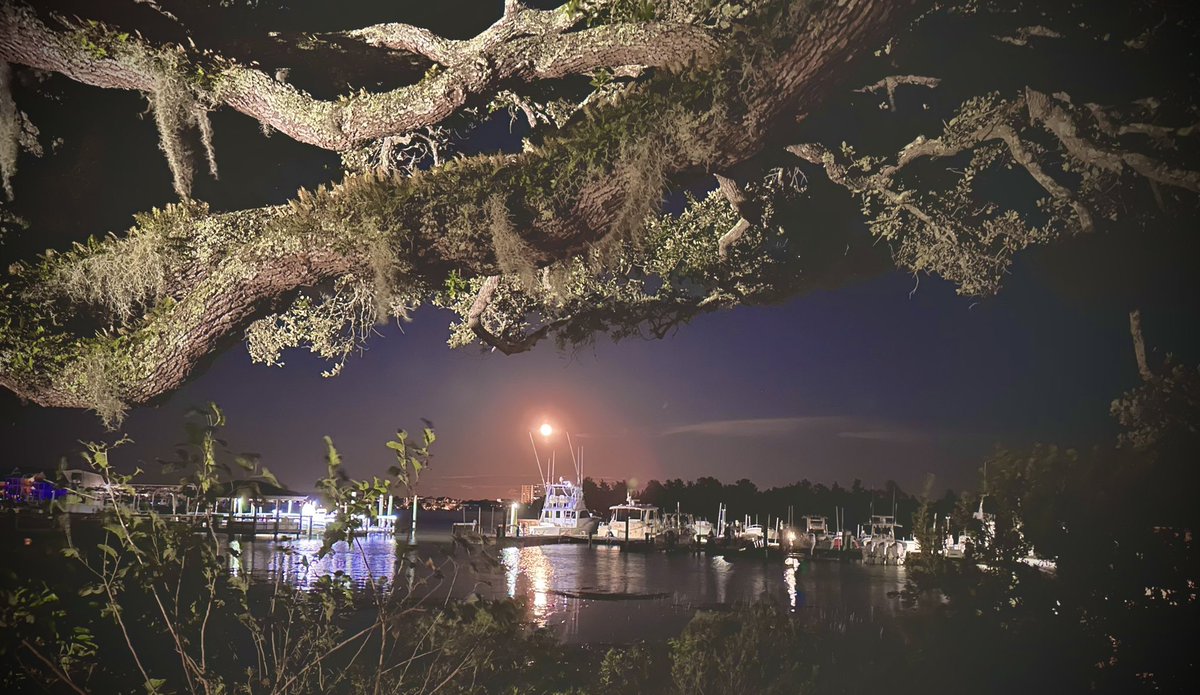 CameronCait18's tweet image. #Idalia has passed and my heart is with everyone left picking up the pieces today. 

While I was unable to see the blue moon yesterday, tonight’s moon made up for it. 
#BlueMoon2023 #intracoastal