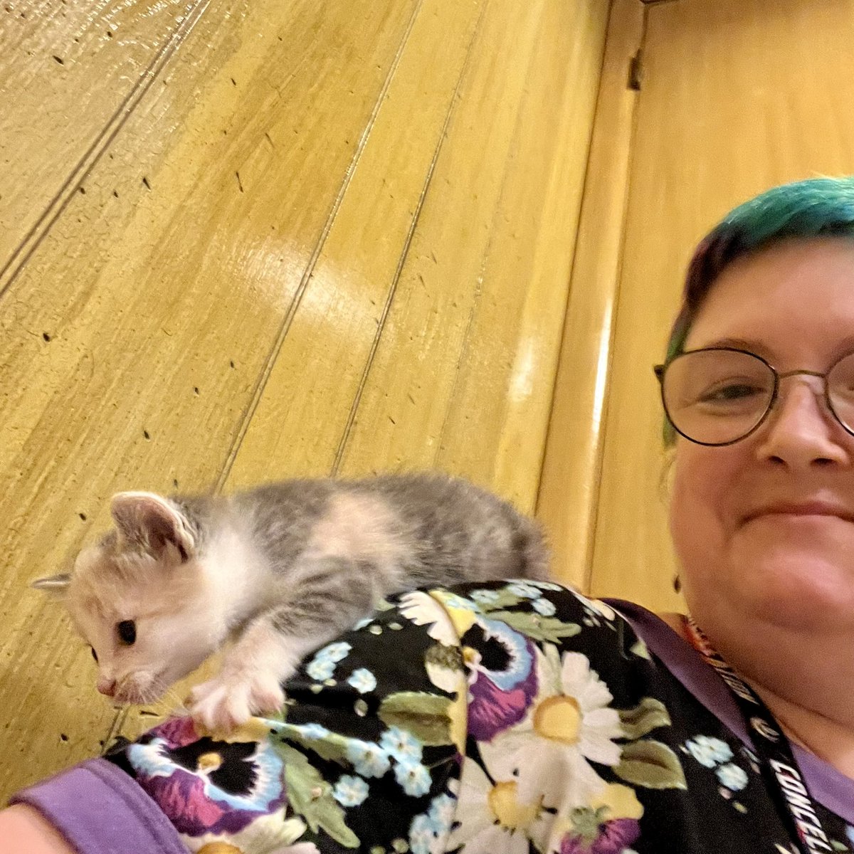 teeniebert's tweet photo. @catvalente it’ll be a month or so before we can bring her home, but this is Blunderbuss. Adopting her mama (who hasn’t told us her name yet) as well. 😻 https://t.co/FO8UbATDAe