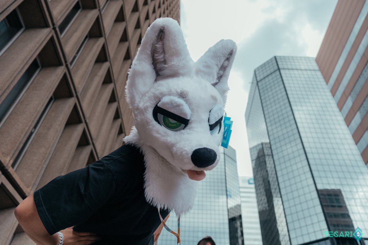 alone on a friday night?
god you're pathetic

happy #FursuitFriday!
📷by <a href="/DuckDiwi/">Diwi 🔜 Mega</a>