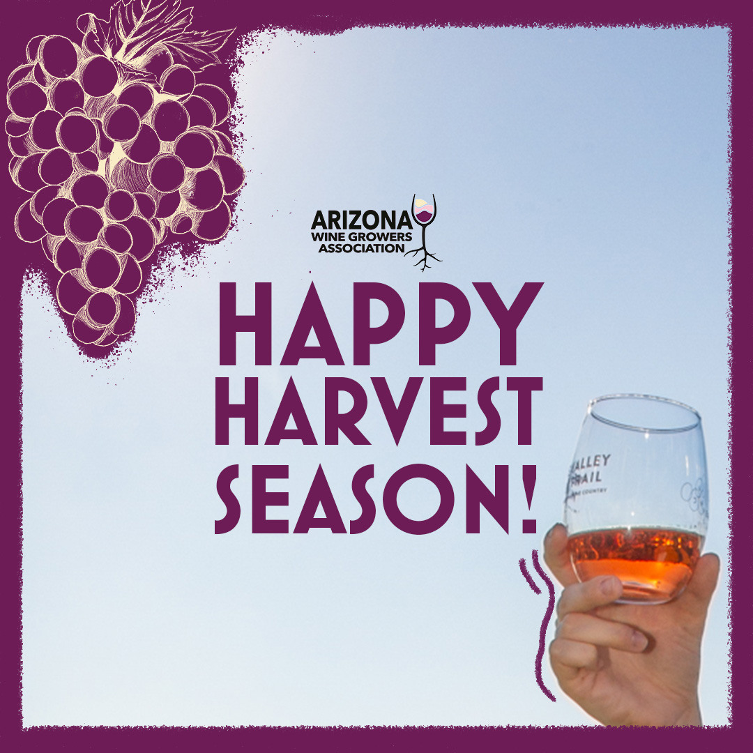 WineArizona's tweet photo. Hello, Harvest Season! 👋 With beautiful weather to arrive and ripened grapes to crush, you're sure to take a trip to some wine-tasting rooms. Wish your favorite wineries a Happy Harvest in the comments as they mark their first step toward producing a new vintage! ⬇️ https://t.co/6ukphoVfuw