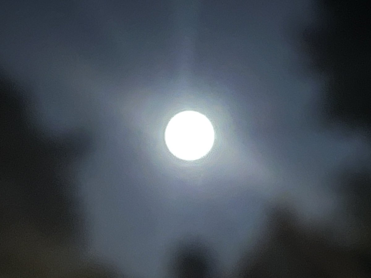 djrowe149's tweet image. #onceinabluemoon