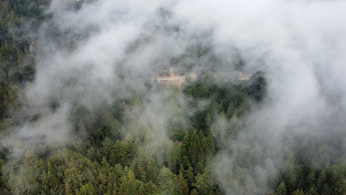 Alec_wx's tweet photo. The ebb and flow of @KarlTheFog #cawx https://t.co/m4qHcdbcxJ