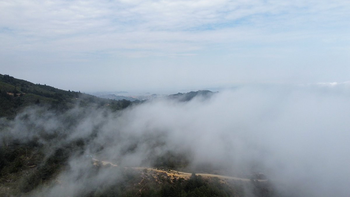 Alec_wx's tweet photo. The ebb and flow of @KarlTheFog #cawx https://t.co/m4qHcdbcxJ