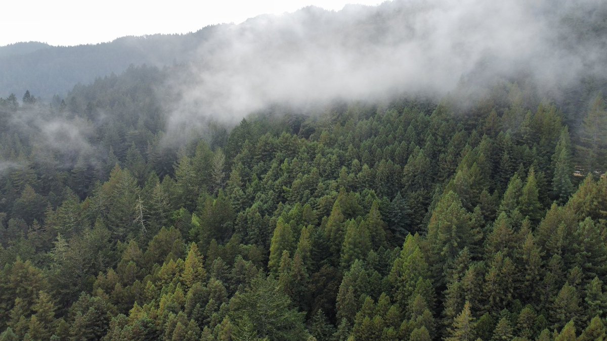 Alec_wx's tweet photo. The ebb and flow of @KarlTheFog #cawx https://t.co/m4qHcdbcxJ