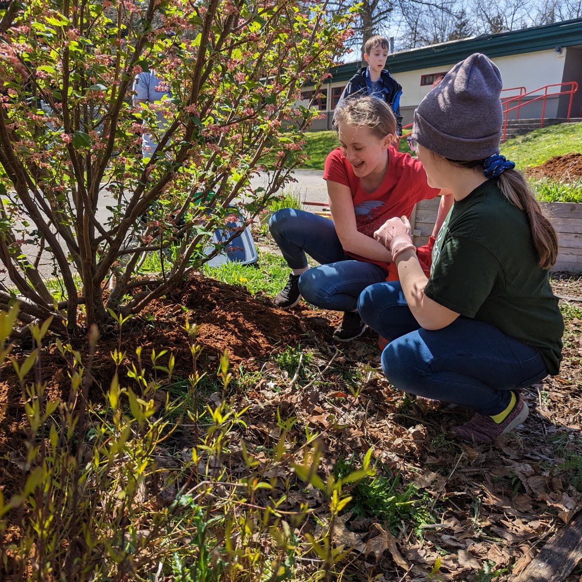 EarthGen tweet media