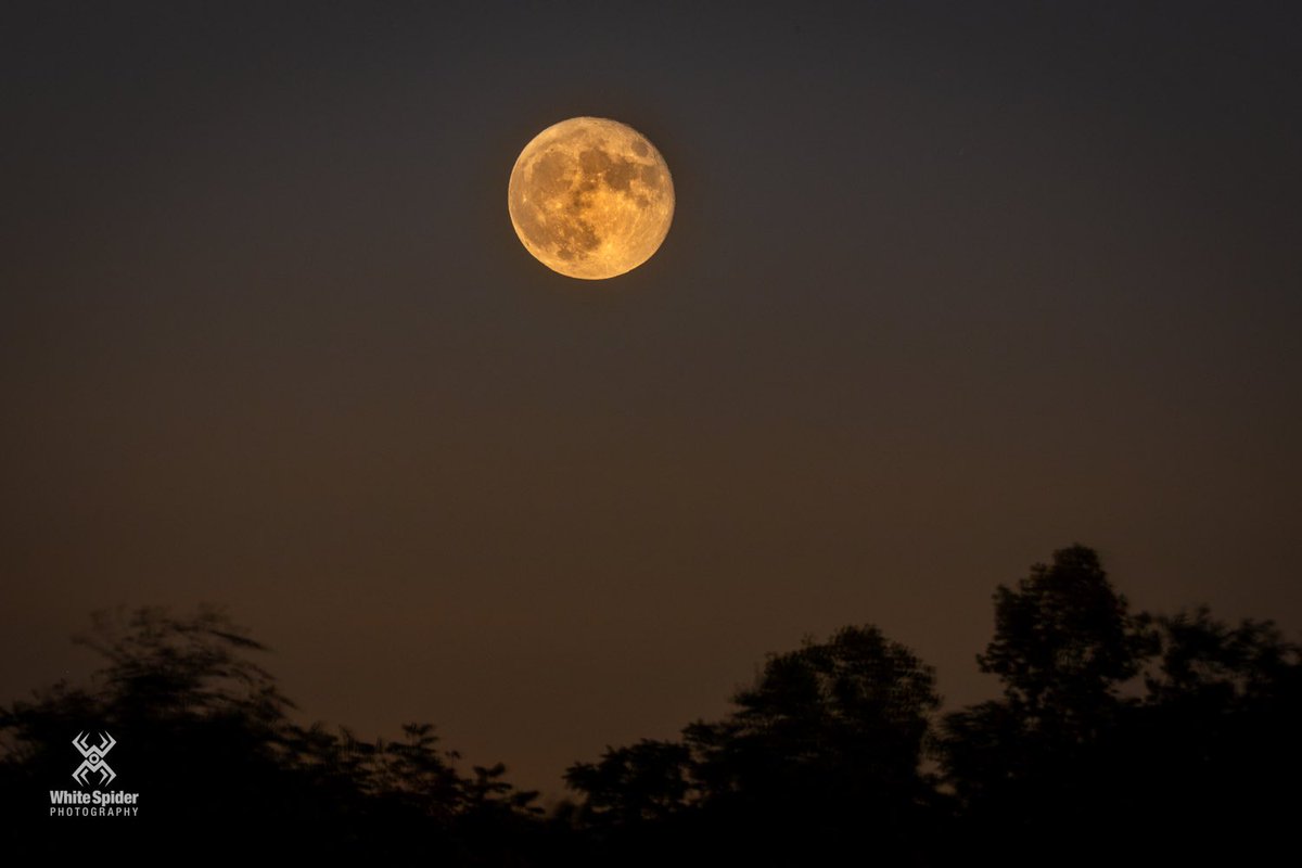 WhiteSpiderInc's tweet photo. Super blue moon the day after, much better weather. @StormHour https://t.co/u3KhcXJjoZ