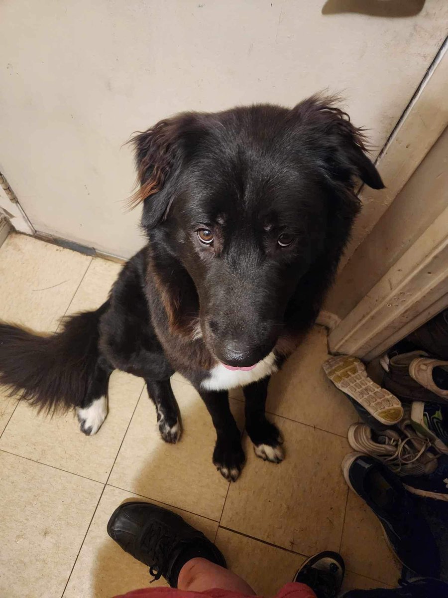 Please just 1 more 2 hour walk