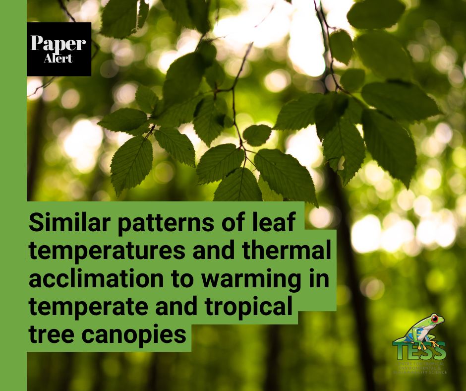 TESSian Kali Middleby and team have recently published two fascinating papers, you can read them here: nature.com/articles/s4158… and here: academic.oup.com/treephys/artic…