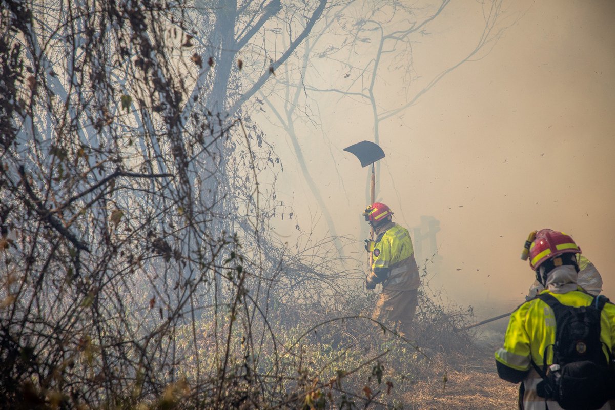 BomberosQuito's tweet photo. 🔥🌳 #IncendiosForestales | Seguimos en labores de control en el incendio forestal registrado en el sector de El Cañón de El Chiche (El Chaquiñán - #Puembo). 

🧑‍🚒 Ponemos todo nuestro esfuerzo, para salvar vidas y precautelar el ambiente.

#BomberosQuito https://t.co/Fvnht5V1UK