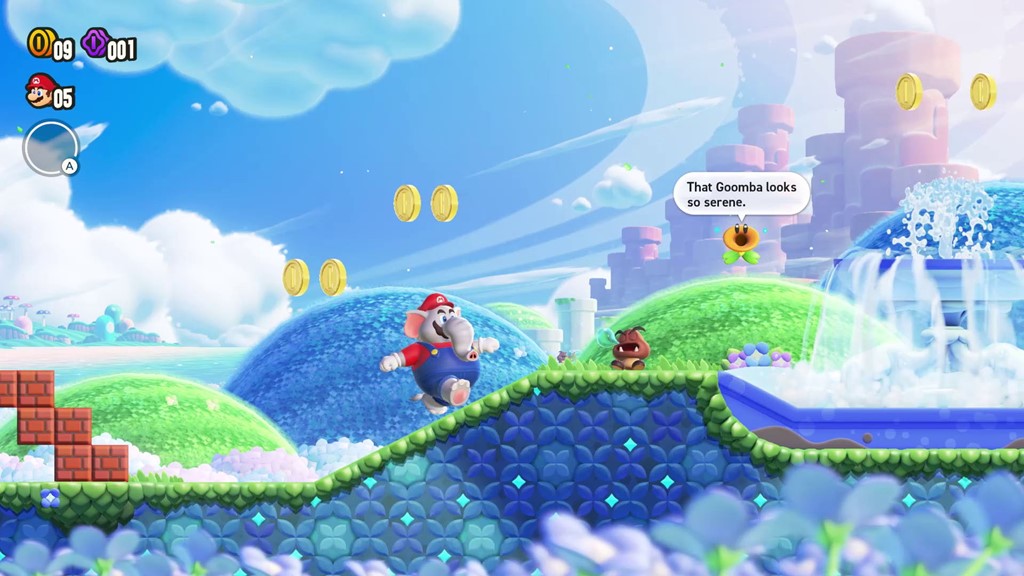 Does Super Mario Bros. Wonder have local and online co-op?