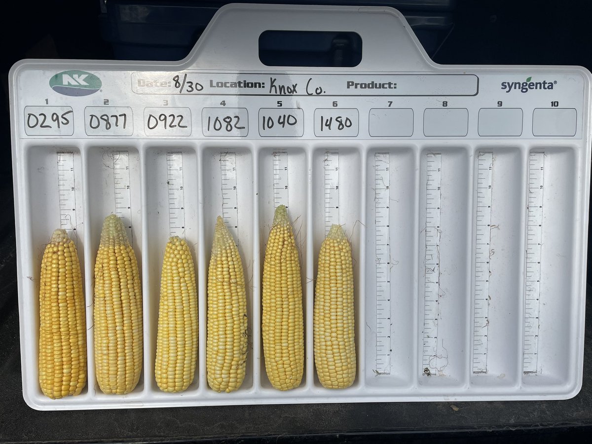 Really excited about <a href="/NKSeeds/">NK Seeds</a> new corn hybrids!!!! NK0295 is definitely one to watch in Northern Ohio! #SuccessWithNK #20in24