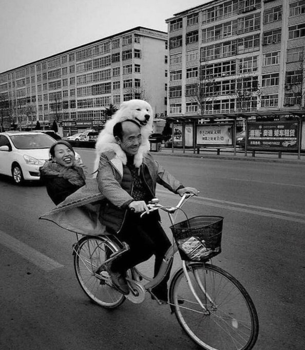 Cool Bike Art tweet media