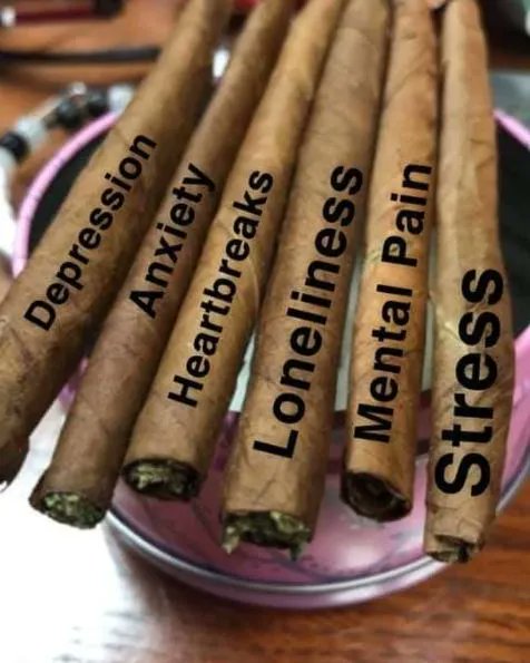 GeniusPothead's tweet photo. My kind of medicine https://t.co/PbOevAUZDD