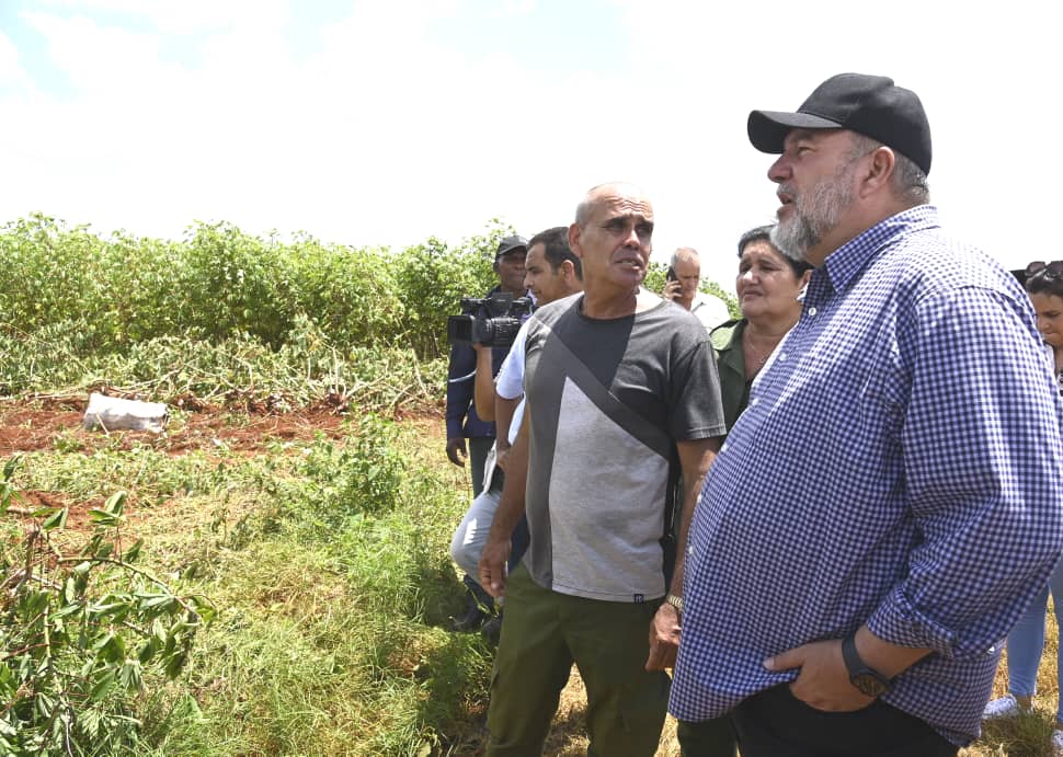 Junto a las máximas autoridades del Partido y del Gobierno en #Artemisa, visitamos a productores agropecuarios en el municipio de Güira de Melena, territorio donde las afectaciones de #Idalia fueron mínimas y las lluvias beneficiaron los cultivos.