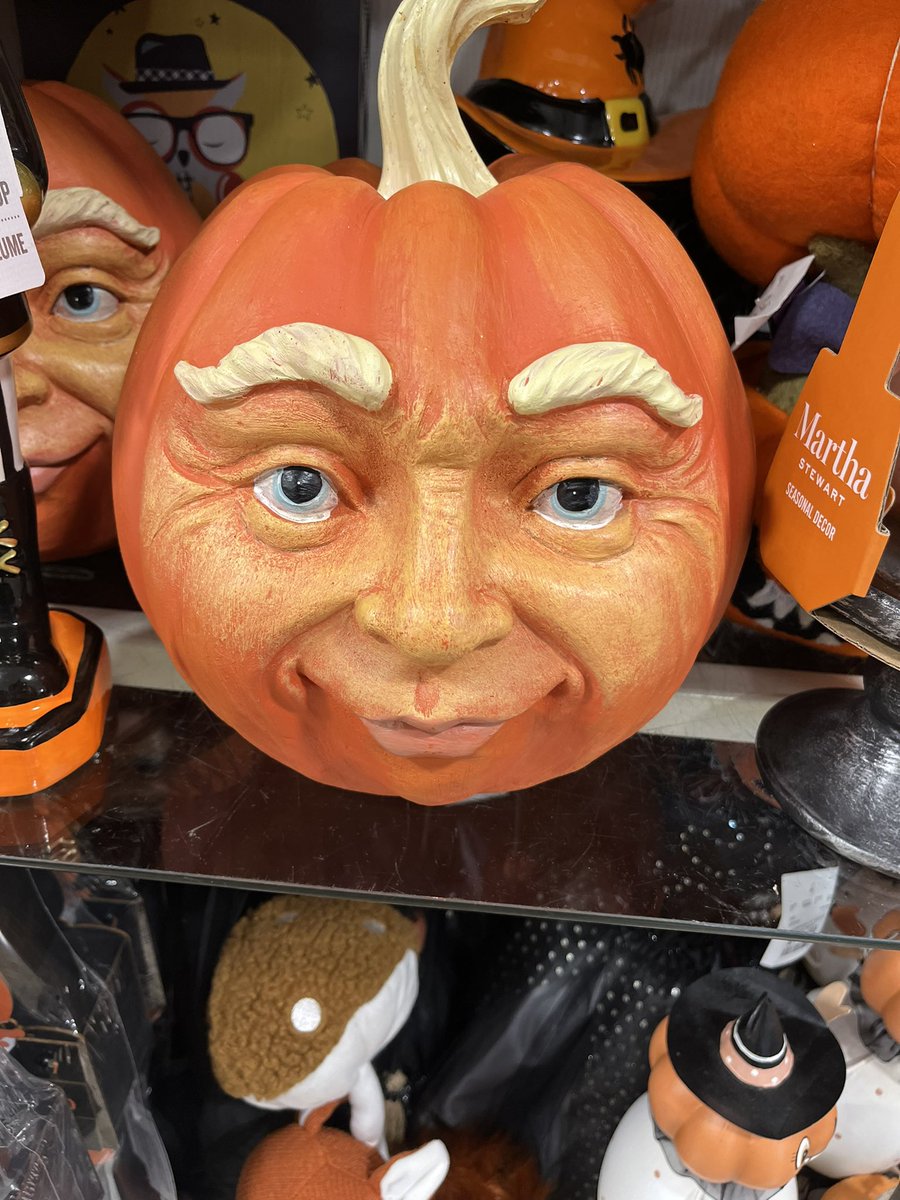 I haven’t said anything on here in 3 years but I’m calling this …Donald Trumpkin 

…that is all see u in 3 years again