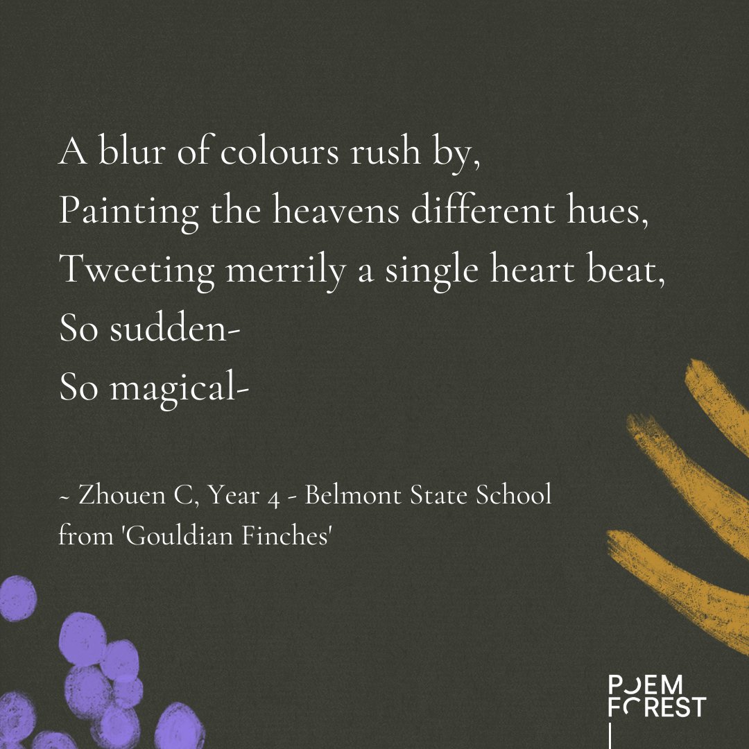 RedRoomPoetry's tweet photo. POEM FOREST closes in three short weeks! We've got free digital workshops coming up on 7 September for Threatened Species Day to help students and teachers get their poems ready 🌳 Sign up now: https://t.co/SrmrP4yKuK

#TeachingAus #POEMFOREST #PoetryforChange https://t.co/qC5niE6Npp