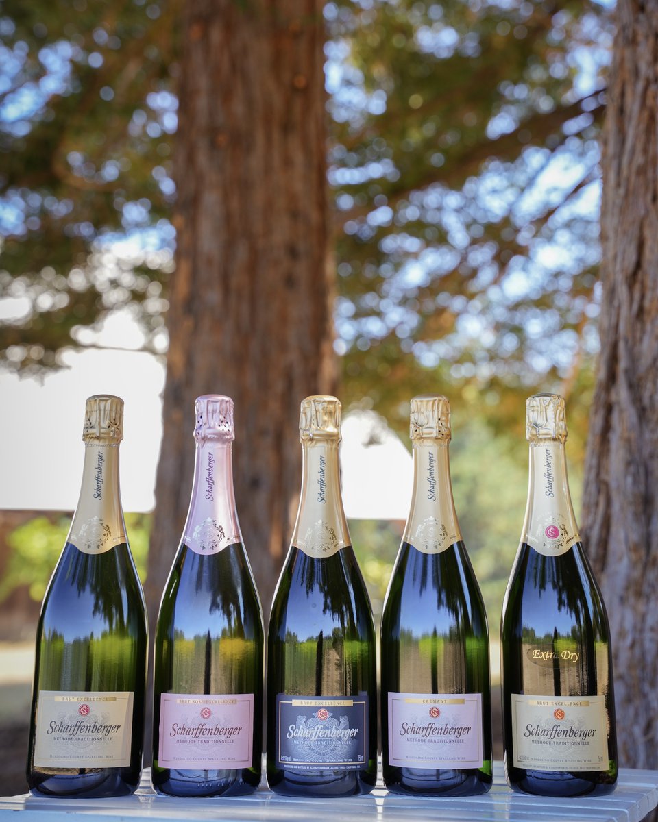 Explore our diverse array of sparkling wines at Scharffenberger Cellars — come find your new favorite! 🥂