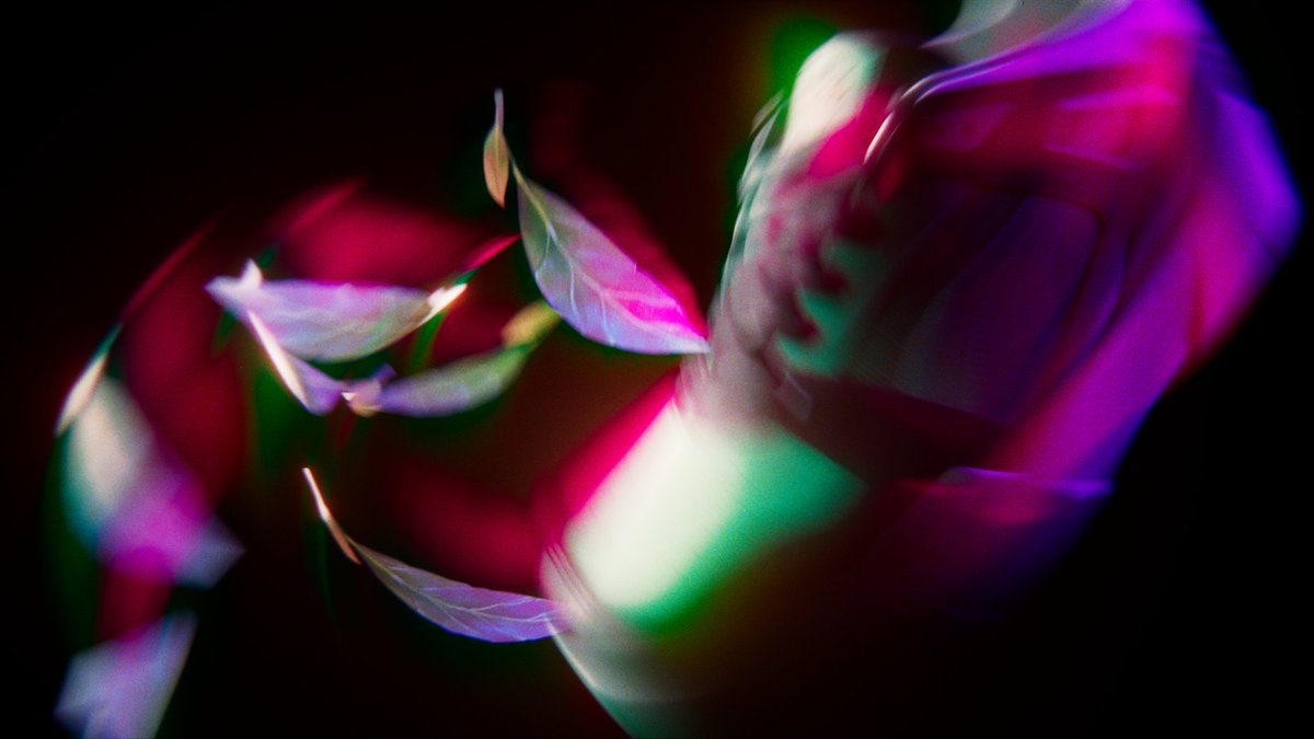 Wagmi-san tweet media