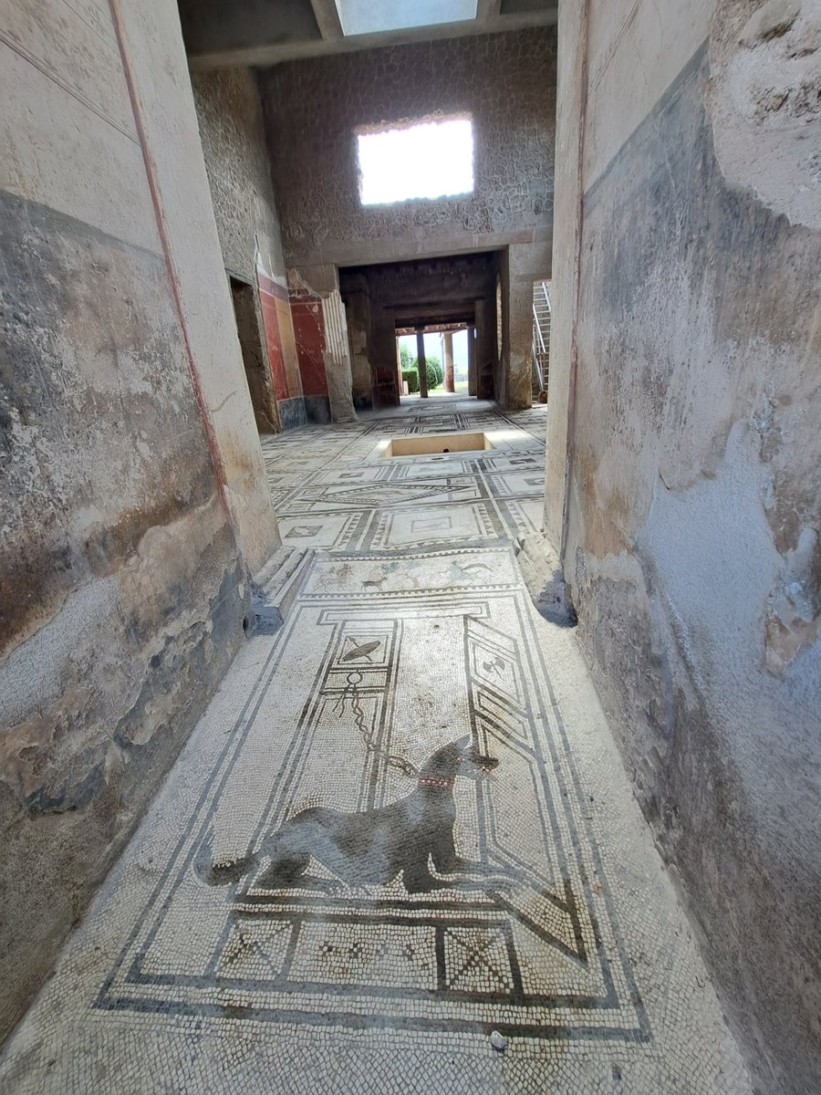J9burt's tweet photo. #pompeii #Mountvesuvius https://t.co/YTMp75Ta9L