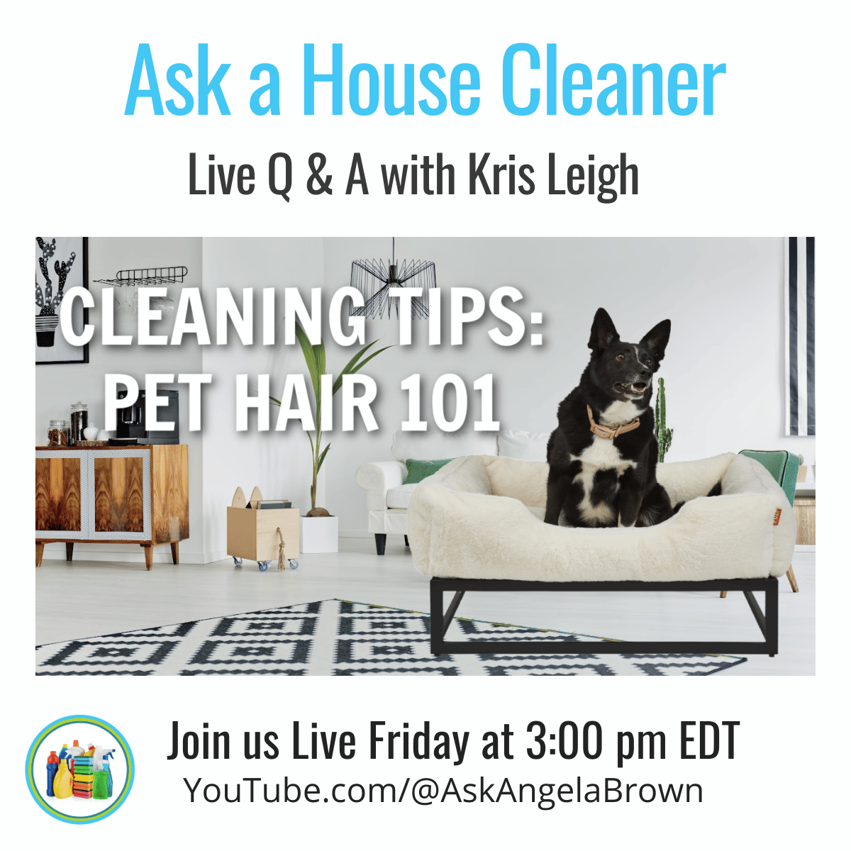 Savvy Cleaner tweet media