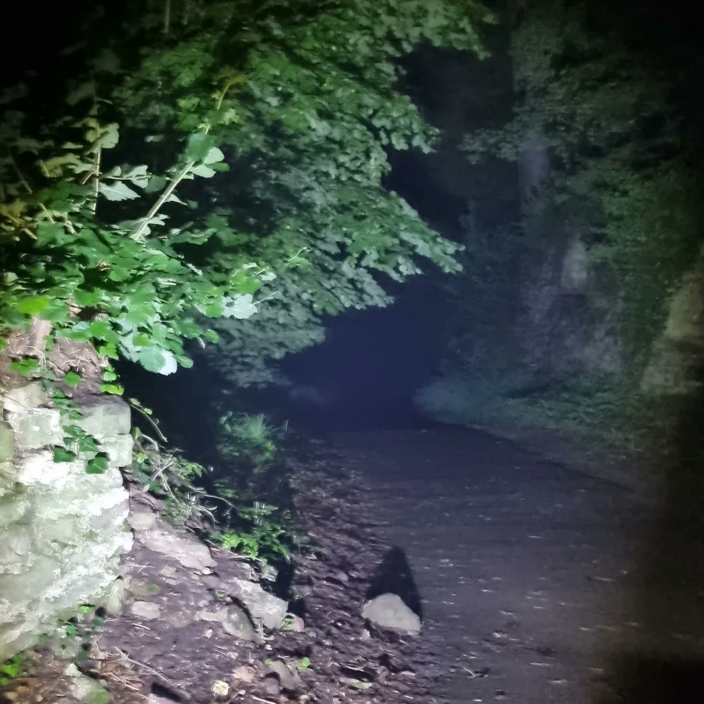 DarkWales's tweet photo. Very good first St Fagans Castle Ghost Tour tonight as Dark Wales Tours. A few strange experiences were reported, and the fog at the end made it very atmospheric. Thank you so much to everyone who attended tonight. https://t.co/2kLd6QFe9P
