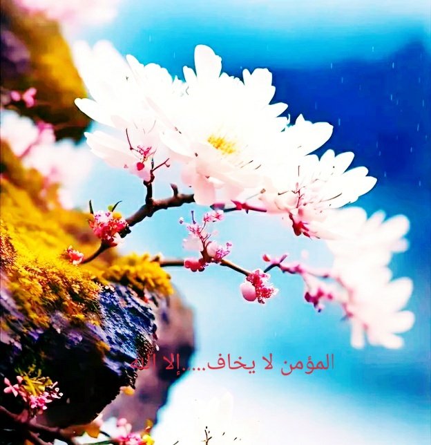 ahmadrayef's tweet photo. https://t.co/Uxhq5UVD8c