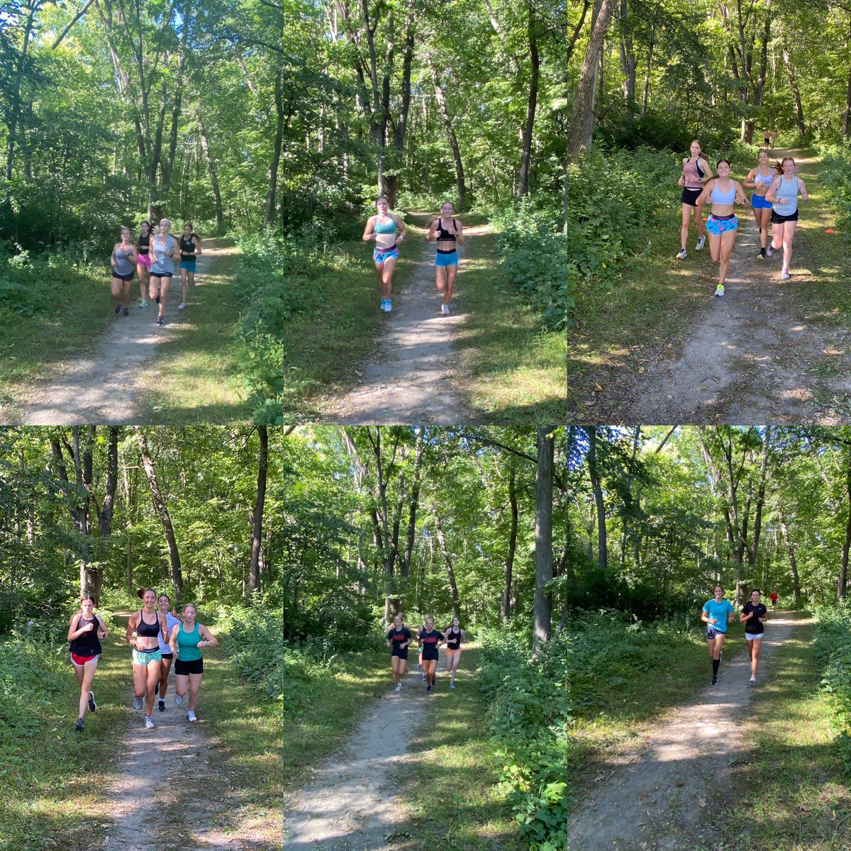Gilbert_XC's tweet photo. Proven fact….if you do a work out that includes some awesome scenery….YOU crush it! #ONE #welovecarr #Ksfordays #tigerstogether https://t.co/hw9t8nGYj9