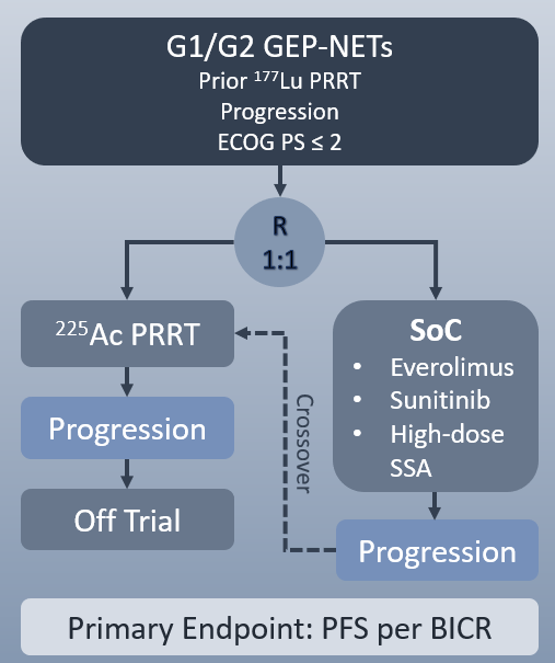 Trial Alert! ACTION-1 is now open at all three Mayo Clinic sites. Phase III trial of alpha particle PRRT w/ Ac-225 DOTATATE vs. provider's choice of SOC therapy for pts w/ progressive G1/G2 GEPNETs and prior Lu-177 PRRT. Very simplified schema below clinicaltrials.gov/study/NCT05477…