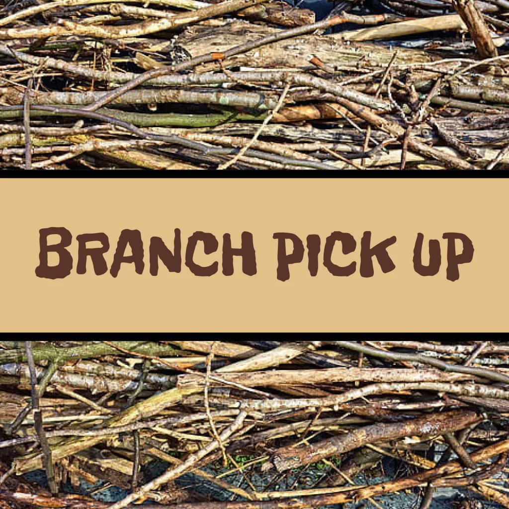 NorthfieldRoads's tweet photo. The last branch pickup of the season is Monday, 9/18  for unincorporated Northfield Township residents who live NORTH of Willow Rd. Please have branches out by 7:30 am and place the cut ends towards the roadway. https://t.co/eM1j05tBv4