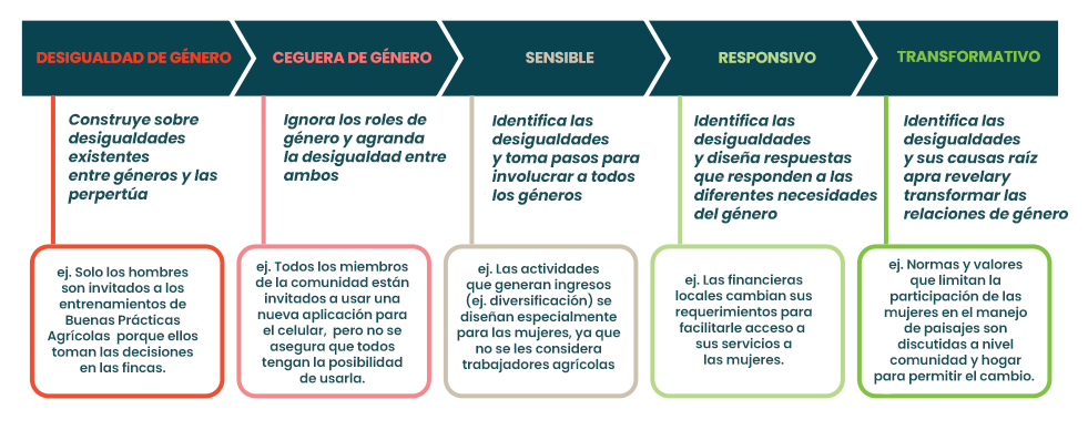 RnfrstAll_Latin's tweet photo. #DDHHMujeres ¿Qué es un enfoque de género transformador? Revise la imagen y descárguela, para entender mejor las diferentes etapas del proceso y lograr más impulso para avanzar hacia un sector agrícola más inclusivo👩‍🌾​🤝 https://t.co/VNgLQQXMWk