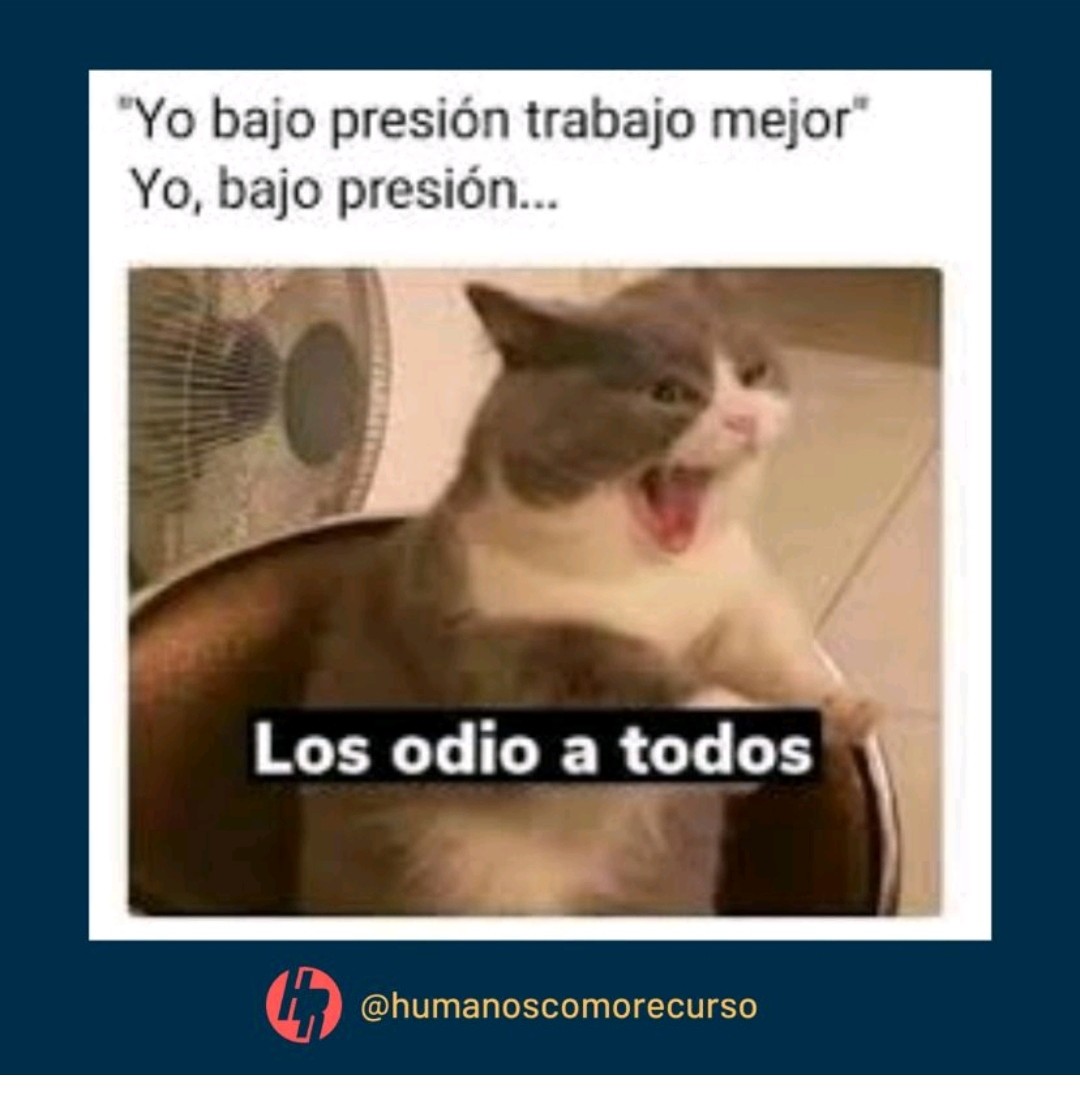 Recruiter Tóxico tweet media