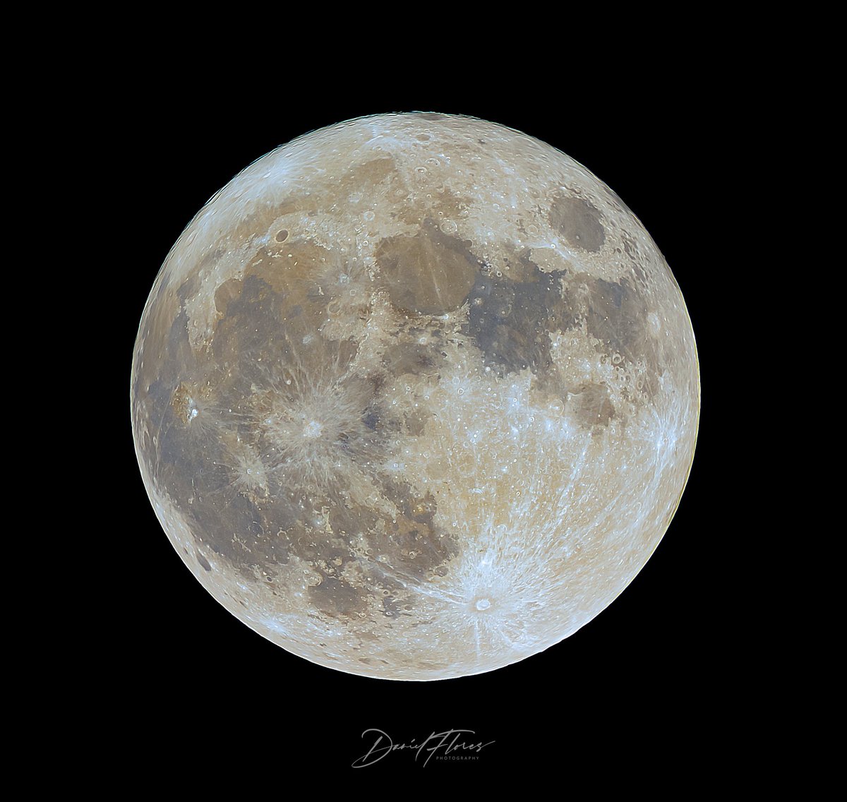 I took a photo of the Super Blue Moon last night. The moon was 7.7% bigger than usual.

Details:
Canon R6
Sigma 150-600mm at 600mm w/2x Teleconverter.
Cropped by 1.6x 
Total length: 1920mm

#moonphotography #space #canon #SIGMA #Astrophotography