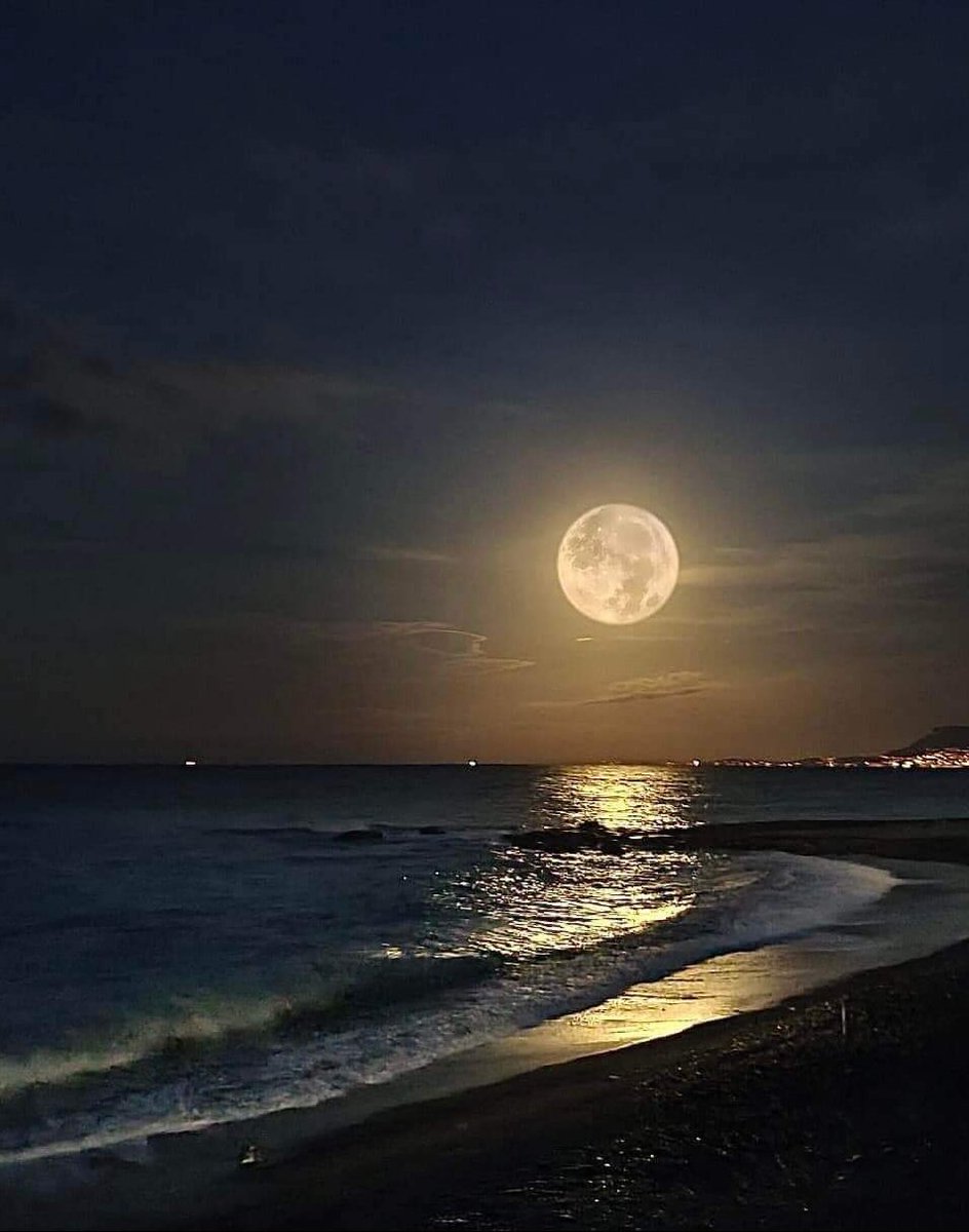 Simona Illario (@illariovalsi) on Twitter photo 