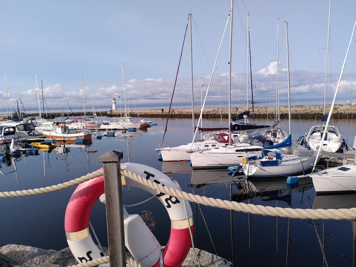 WiebkeHaeger's tweet photo. NFR Project Meeting in Trondheim. Enjoying inspiring talks, the wonderful city and (maybe) the last of the summer weather☀️
@hamann_lab @IveDeSmet1978 @LuisAlonsoBaez1 @TerezaTich @Szwartkruis @MichaelaTicha @DhiAmanda @NancySoni_11 https://t.co/oxSxReaZor